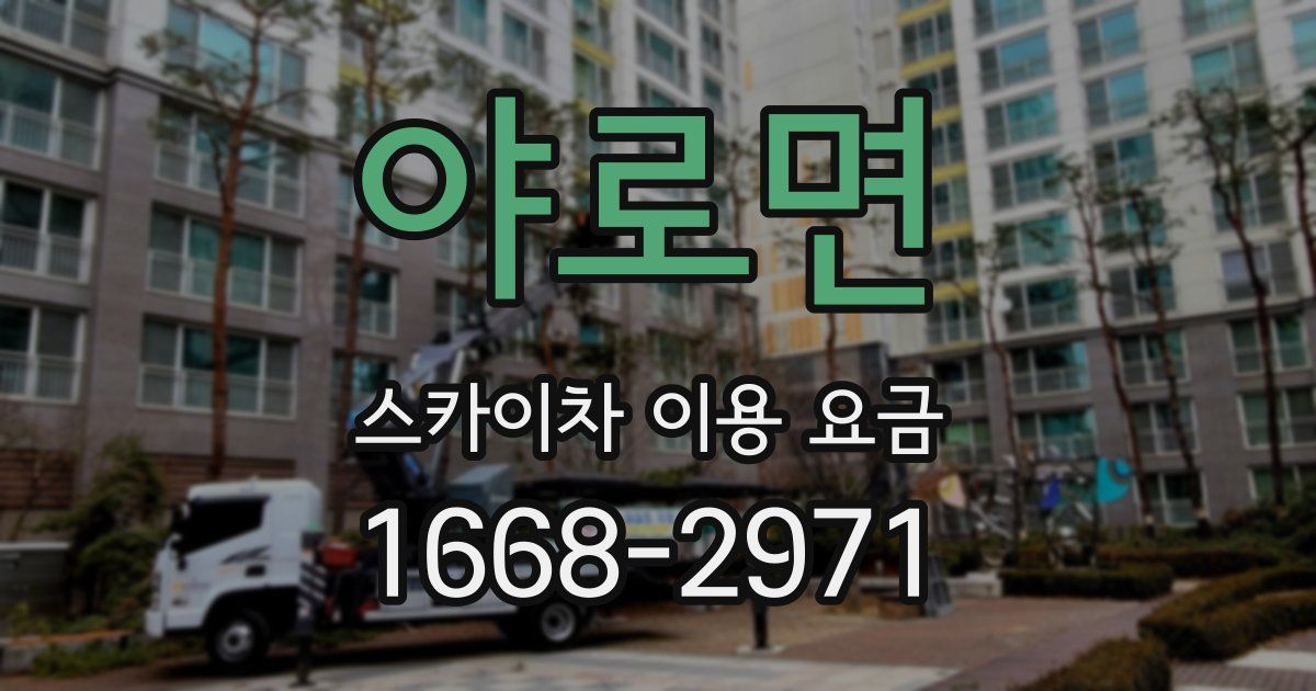 야로면 스카이차 이용 요금