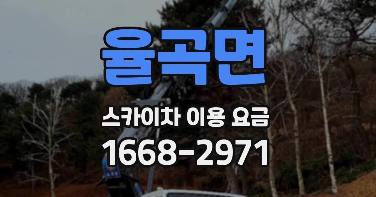 율곡면 스카이차 이용 요금