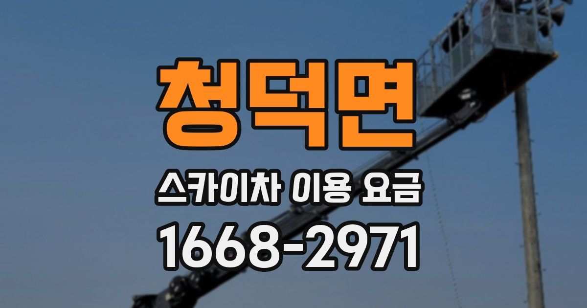 청덕면 스카이차 이용 요금