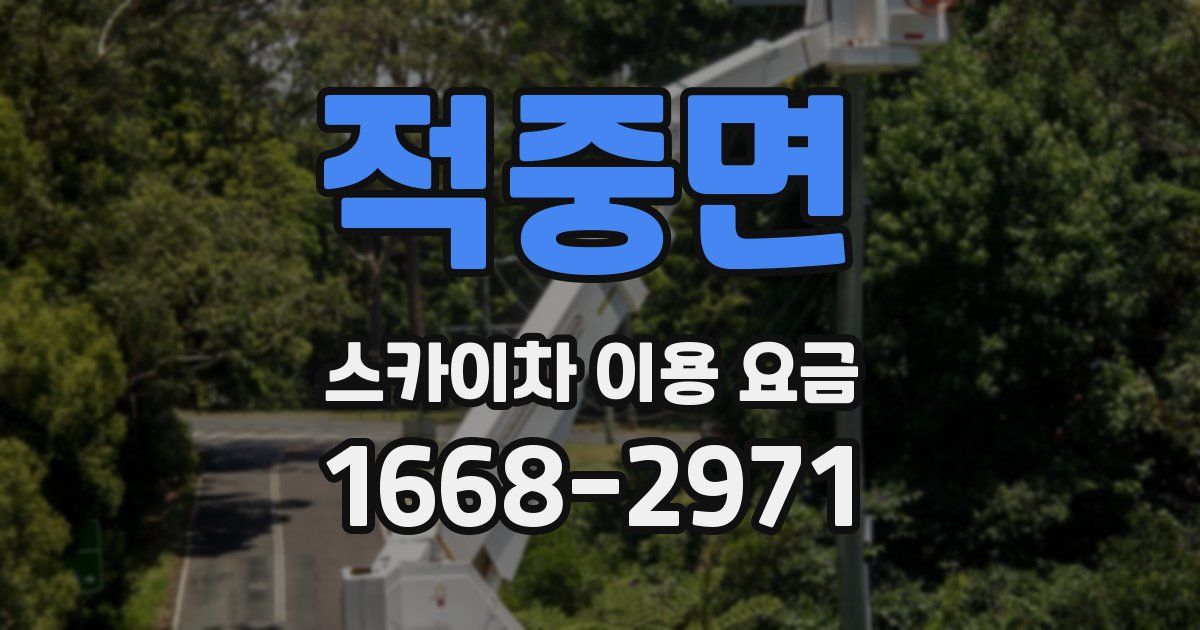 적중면 스카이차 이용 요금