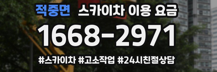적중면 스카이차 이용 요금