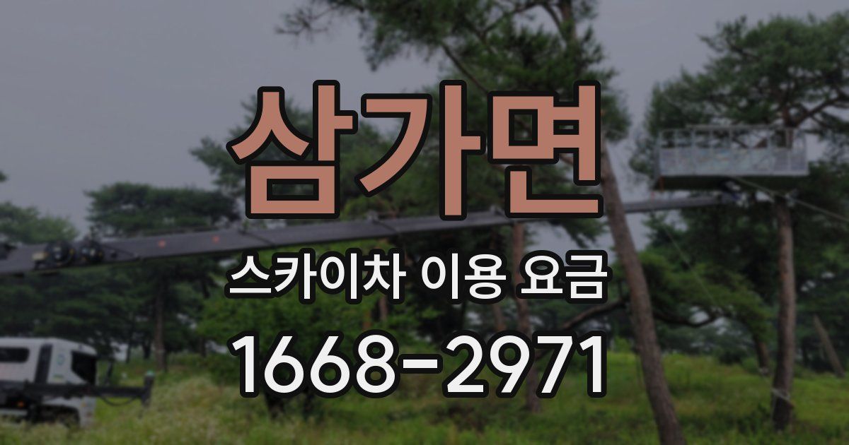삼가면 스카이차 이용 요금