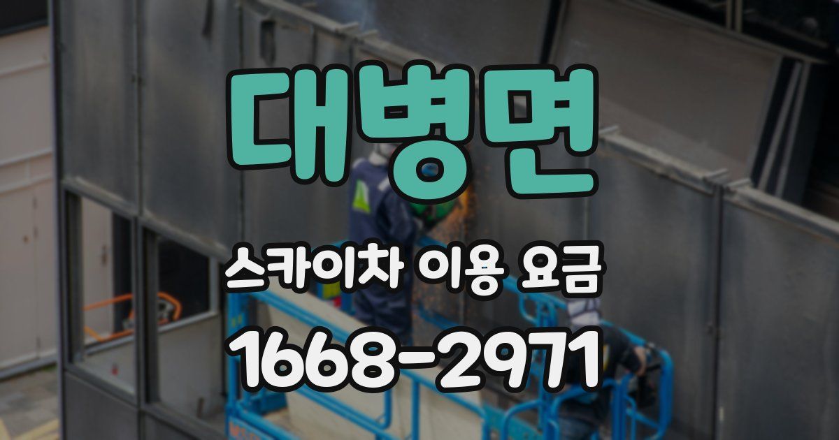 대병면 스카이차 이용 요금
