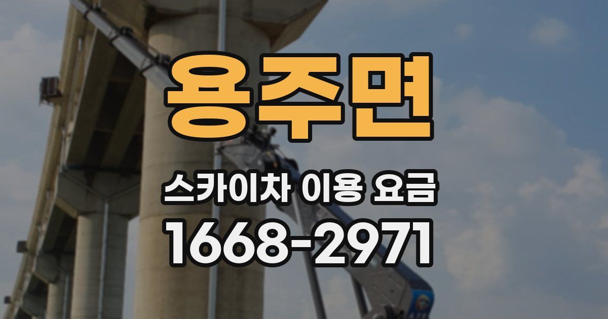 용주면 스카이차 이용 요금