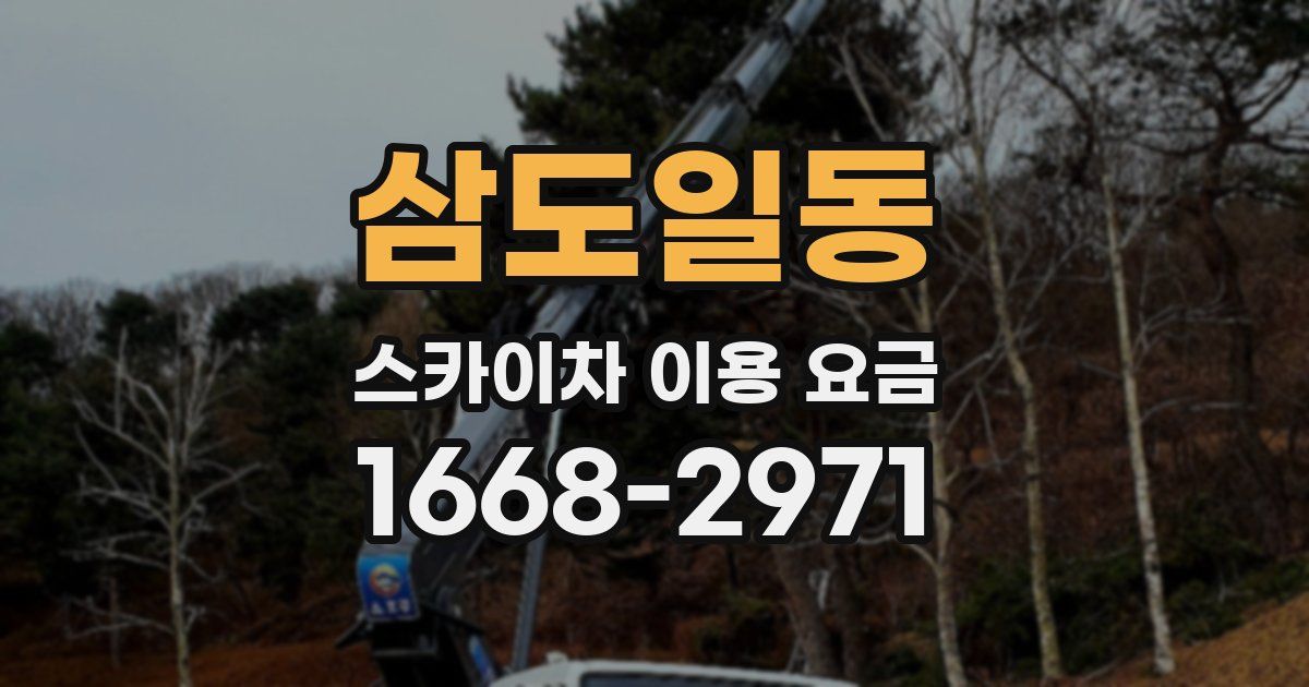 삼도일동 스카이차 이용 요금