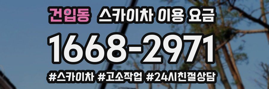 건입동 스카이차 이용 요금