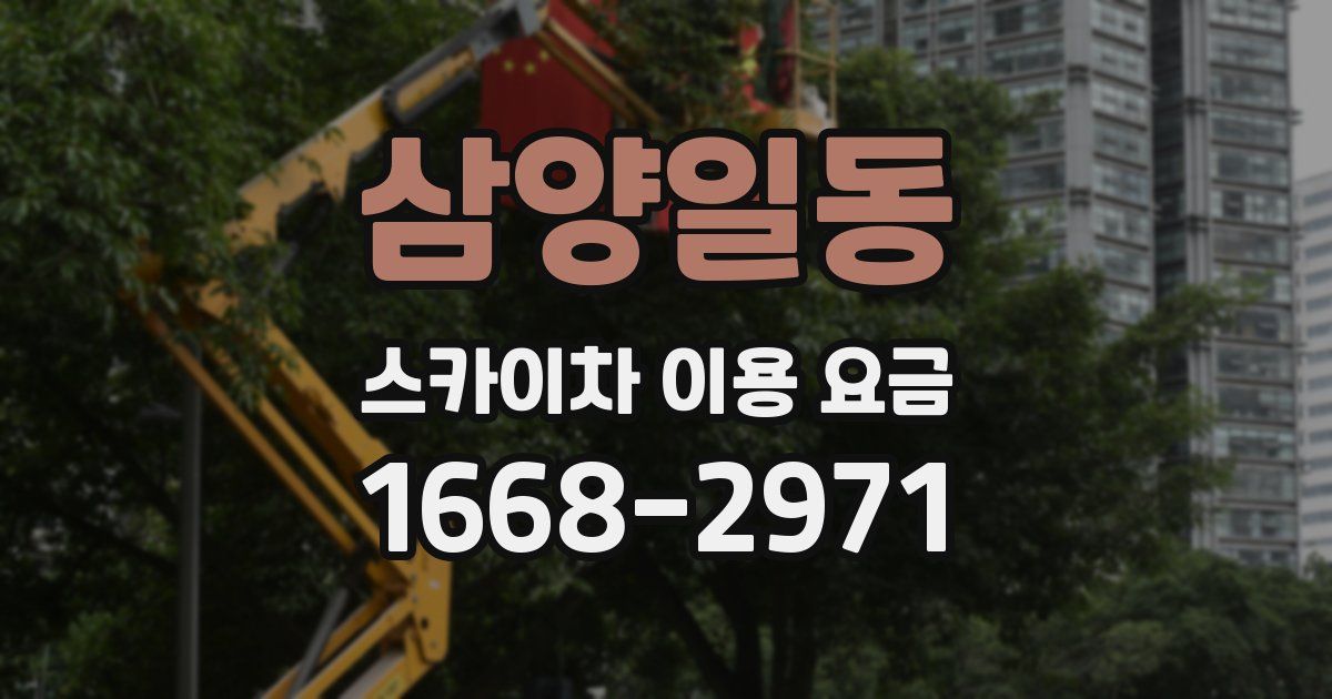 삼양일동 스카이차 이용 요금