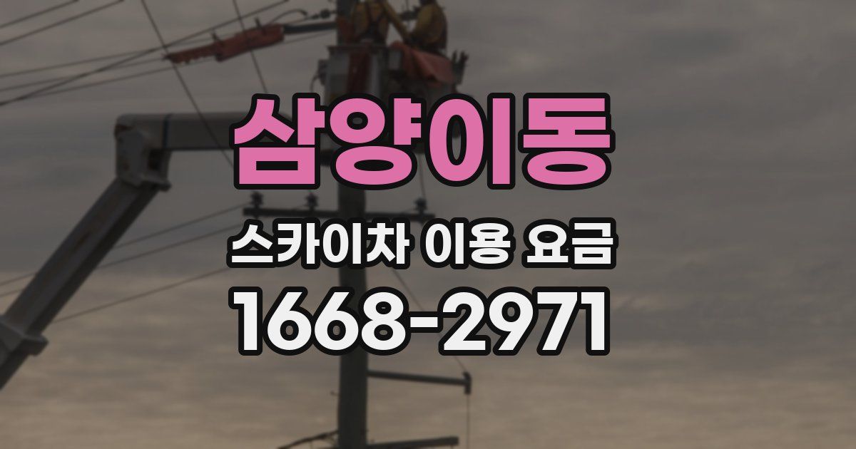 삼양이동 스카이차 이용 요금