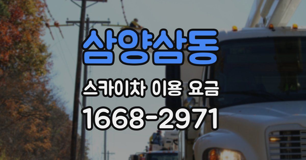 삼양삼동 스카이차 이용 요금