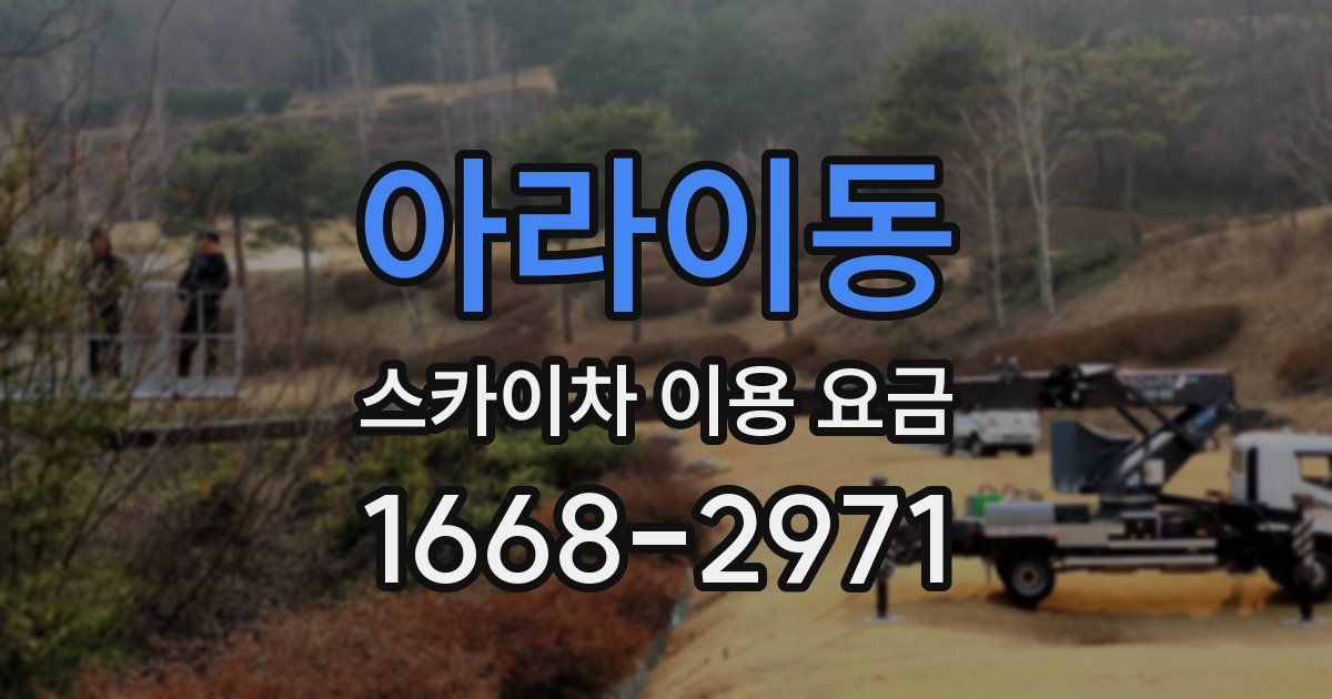 아라이동 스카이차 이용 요금
