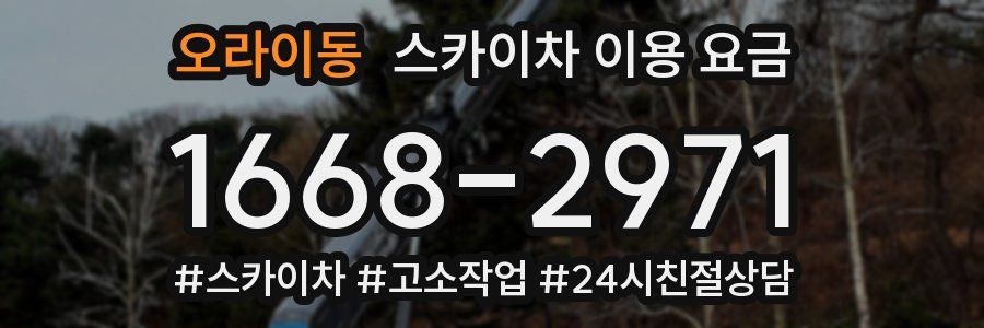 오라이동 스카이차 이용 요금