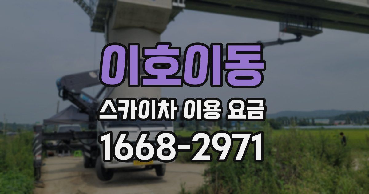 이호이동 스카이차 이용 요금