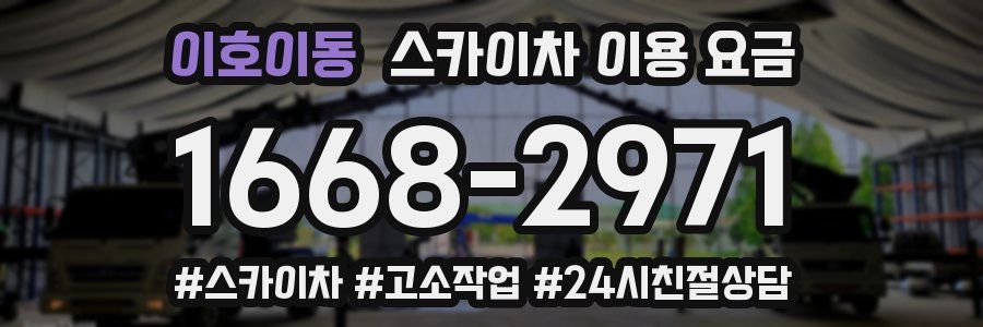 이호이동 스카이차 이용 요금