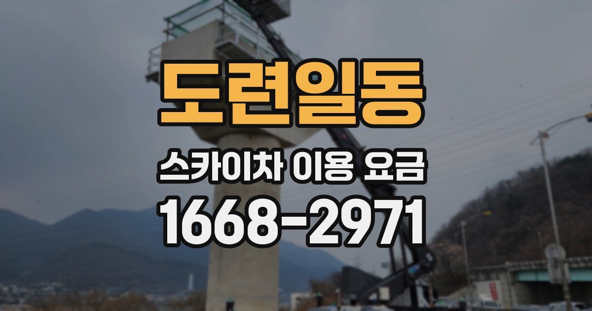 도련일동 스카이차 이용 요금