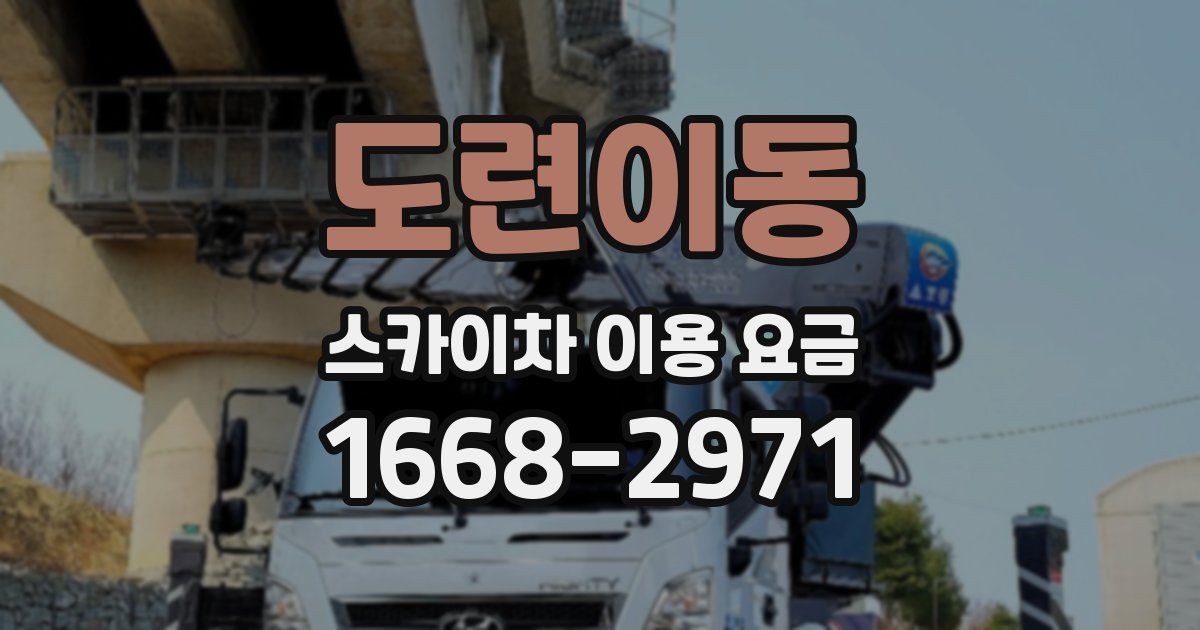도련이동 스카이차 이용 요금