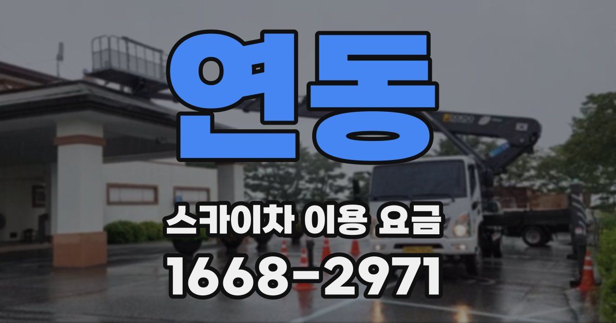 연동 스카이차 이용 요금