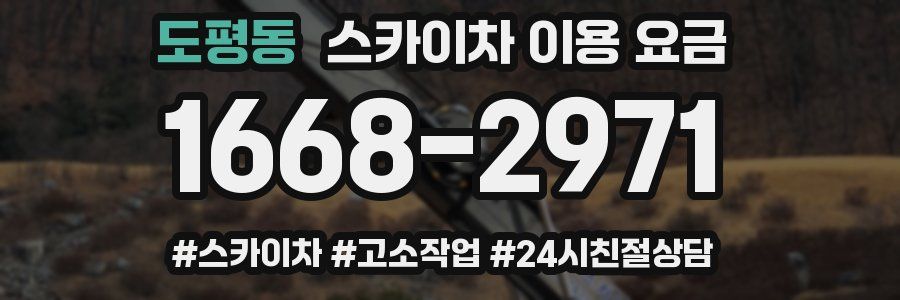 도평동 스카이차 이용 요금