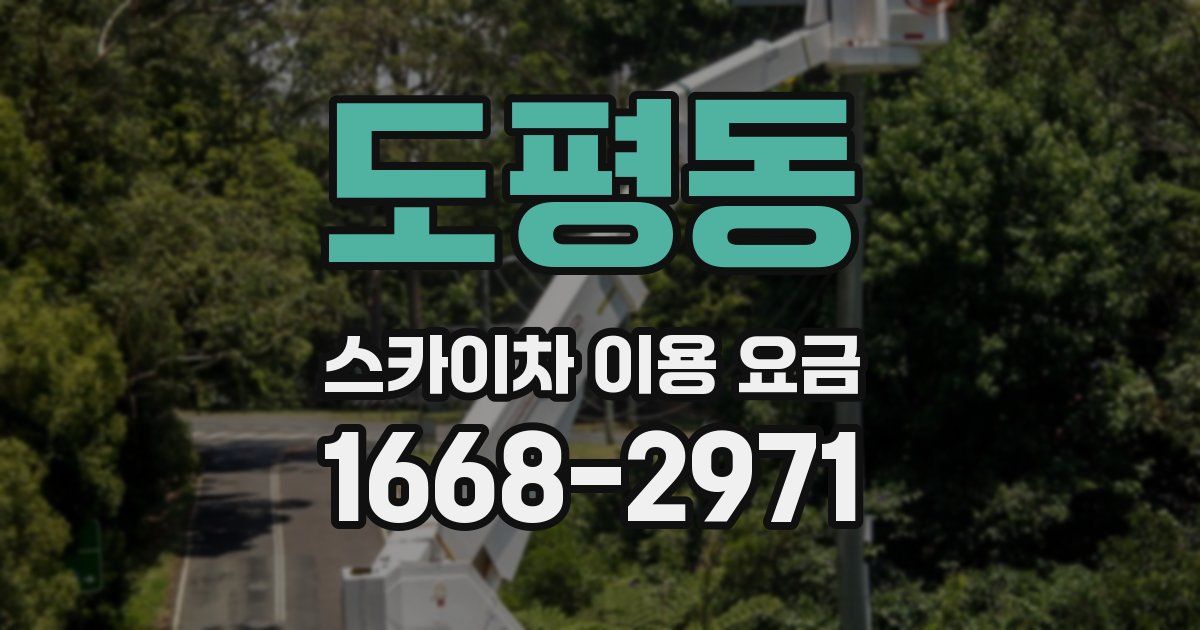 도평동 스카이차 이용 요금