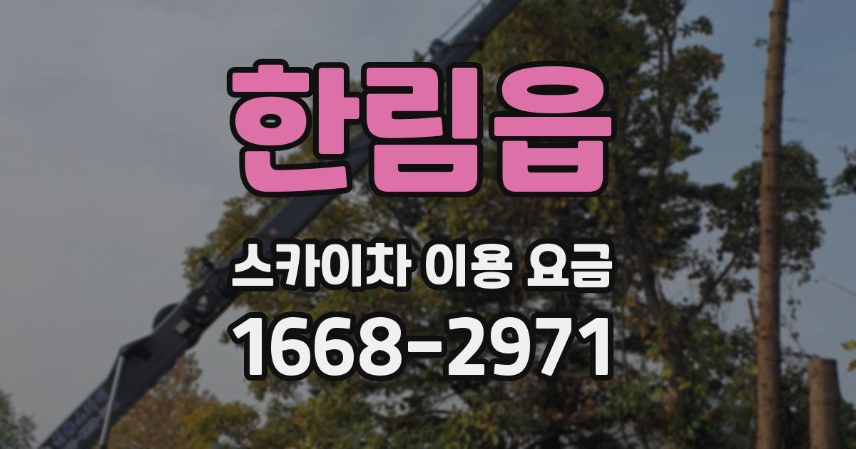 한림읍 스카이차 이용 요금
