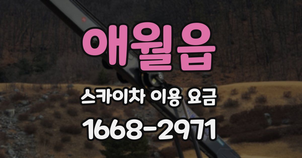 애월읍 스카이차 이용 요금