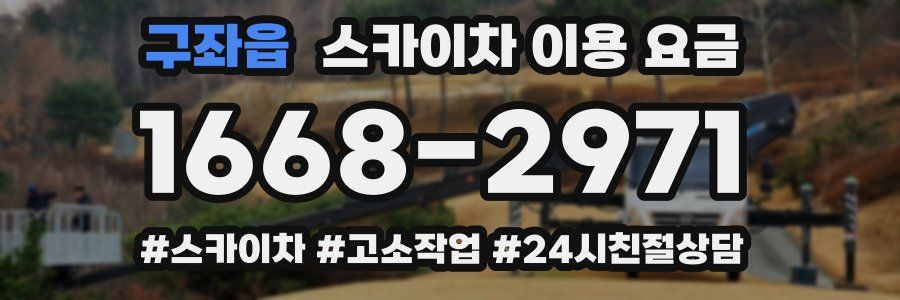 구좌읍 스카이차 이용 요금