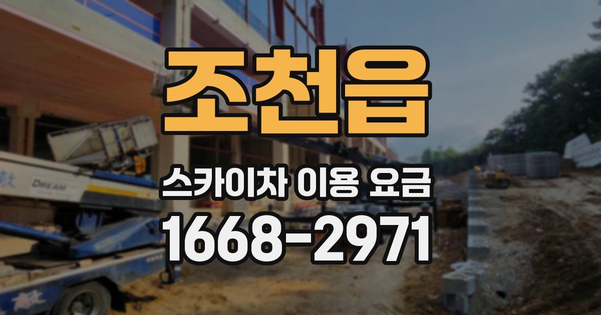 조천읍 스카이차 이용 요금