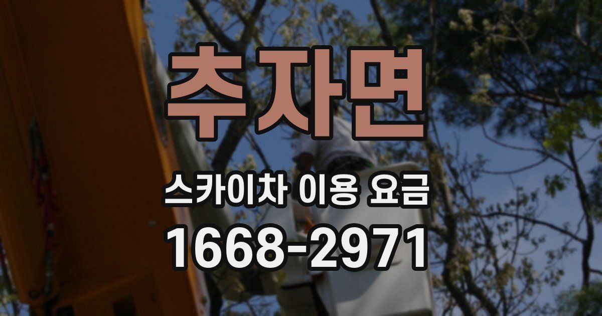추자면 스카이차 이용 요금