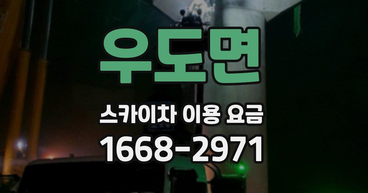 우도면 스카이차 이용 요금