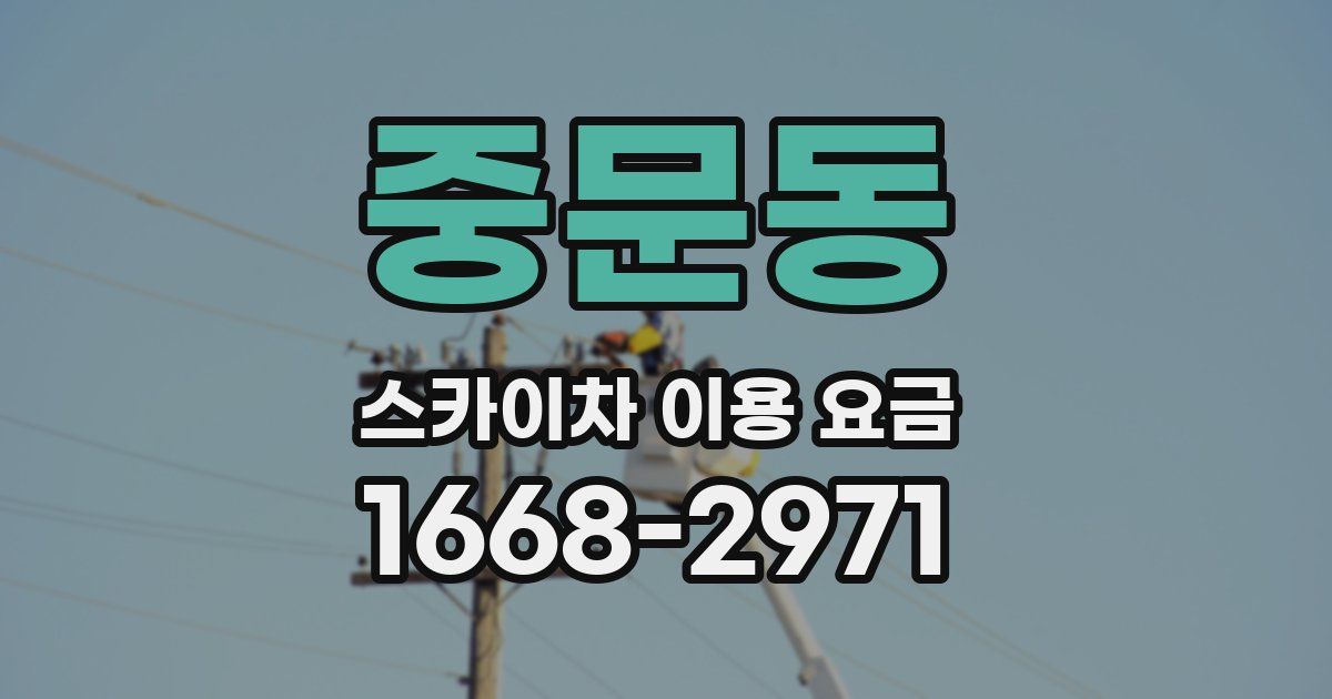 중문동 스카이차 이용 요금