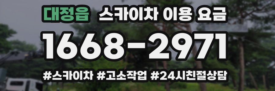 대정읍 스카이차 이용 요금