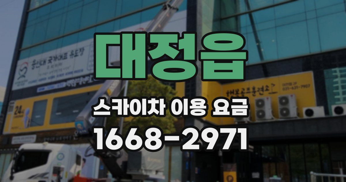 대정읍 스카이차 이용 요금