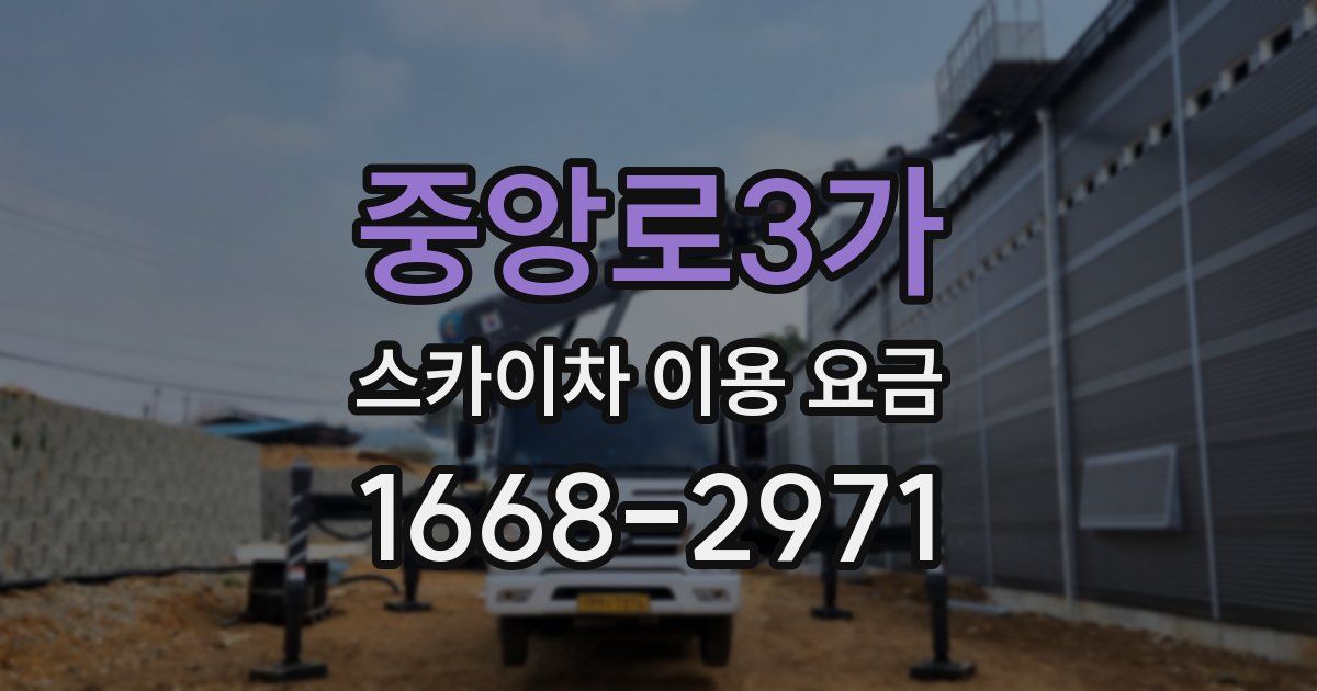 중앙로3가 스카이차 이용 요금