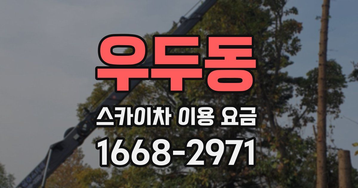 우두동 스카이차 이용 요금