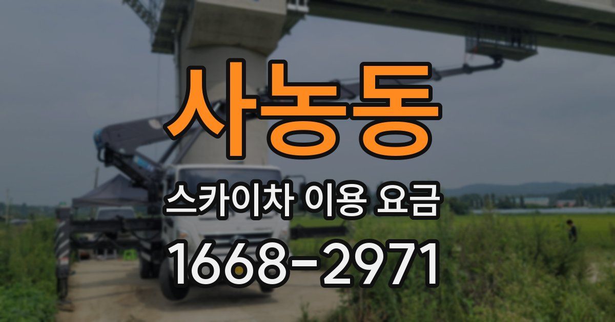 사농동 스카이차 이용 요금