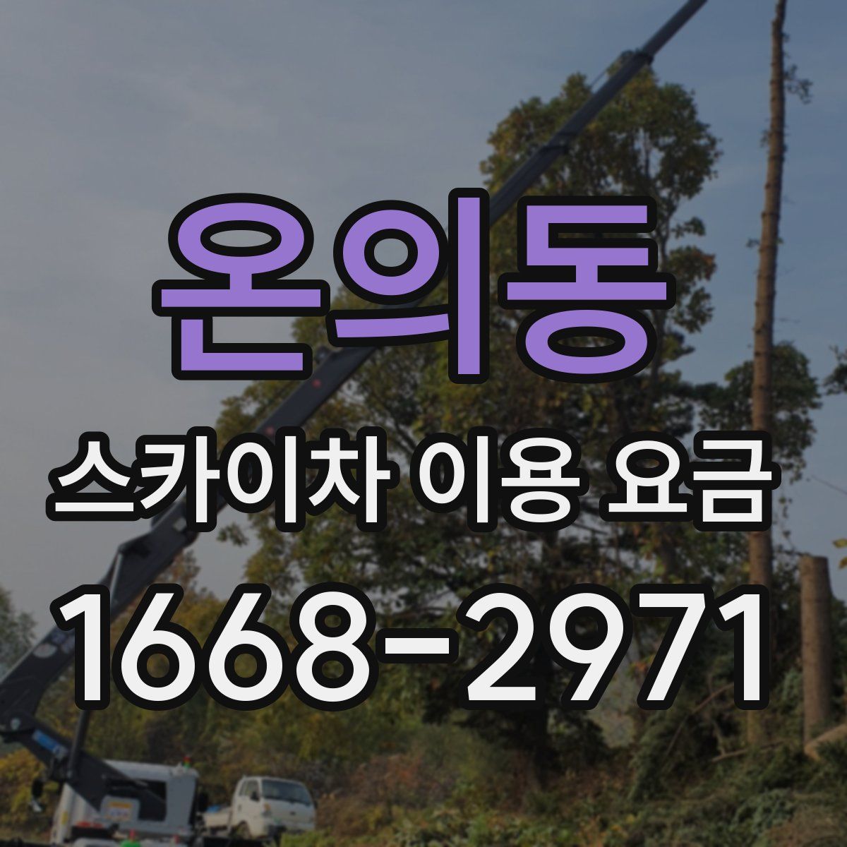 온의동 스카이차 이용 요금