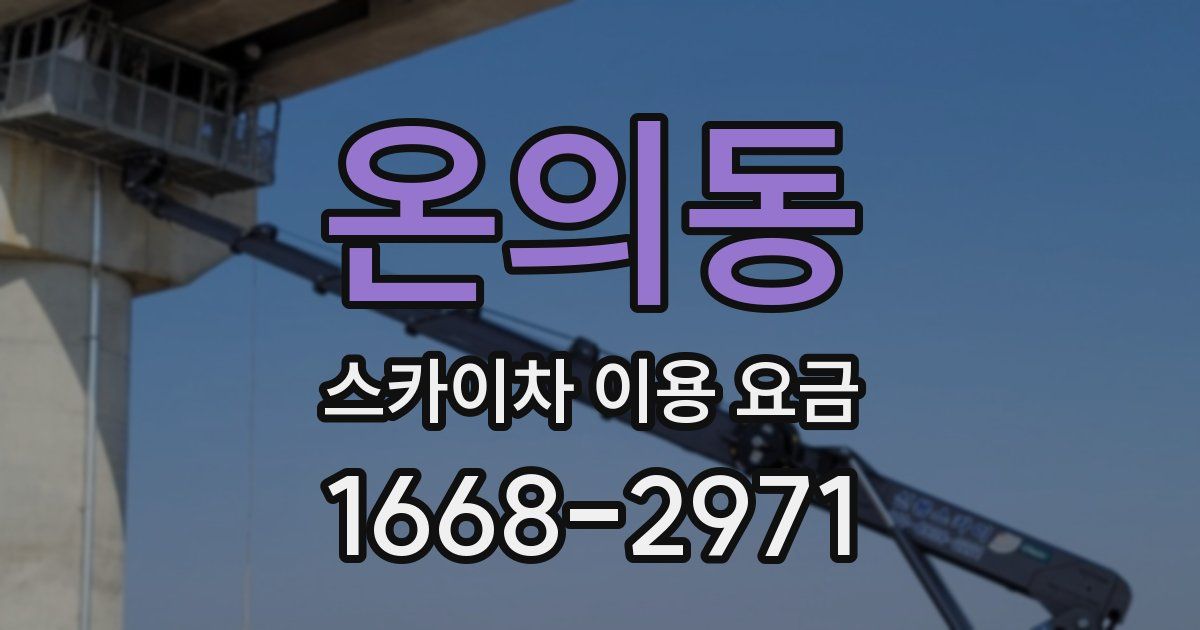 온의동 스카이차 이용 요금