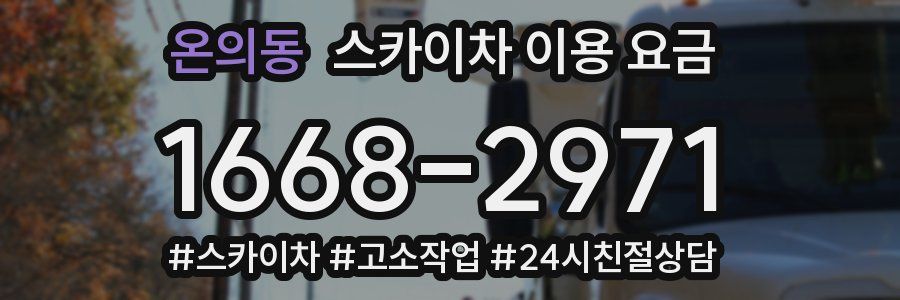 온의동 스카이차 이용 요금