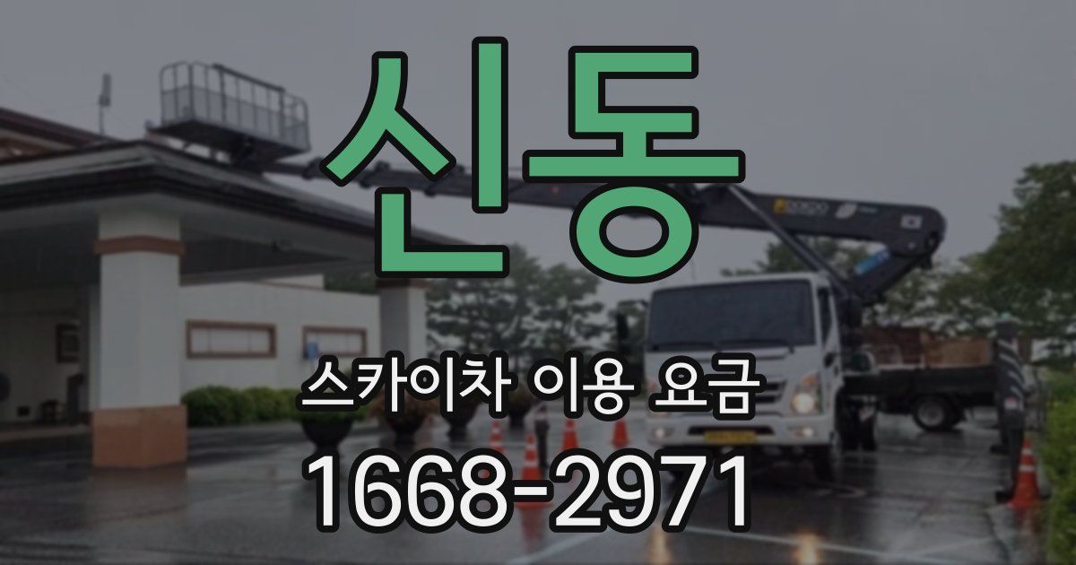 신동 스카이차 이용 요금