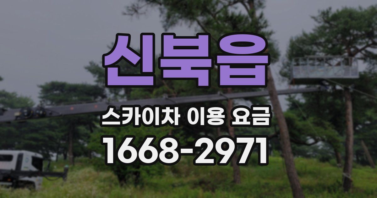 신북읍 스카이차 이용 요금