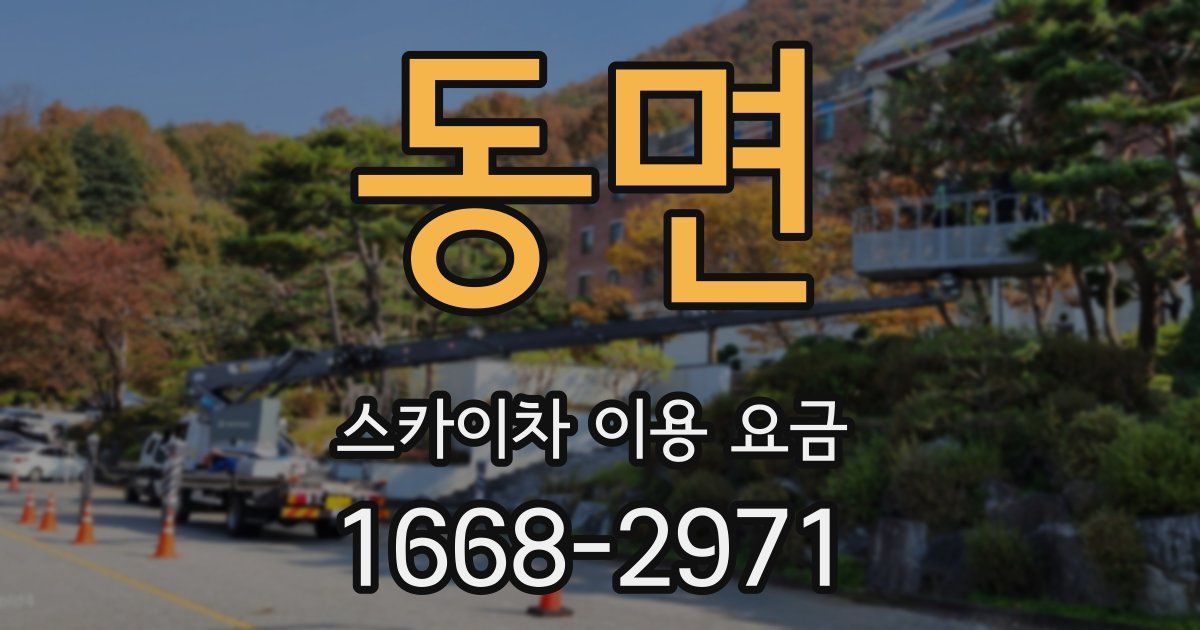 동면 스카이차 이용 요금