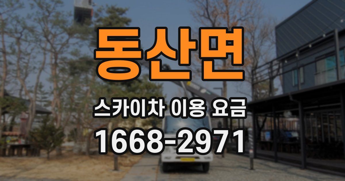 동산면 스카이차 이용 요금