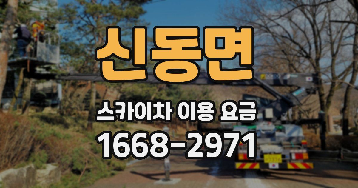 신동면 스카이차 이용 요금