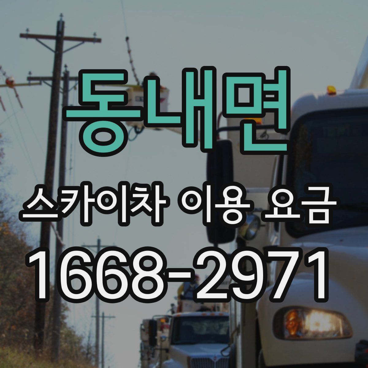 동내면 스카이차 이용 요금