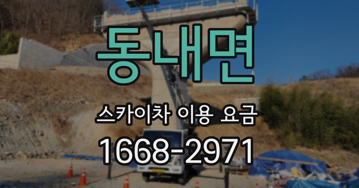 동내면 스카이차 이용 요금