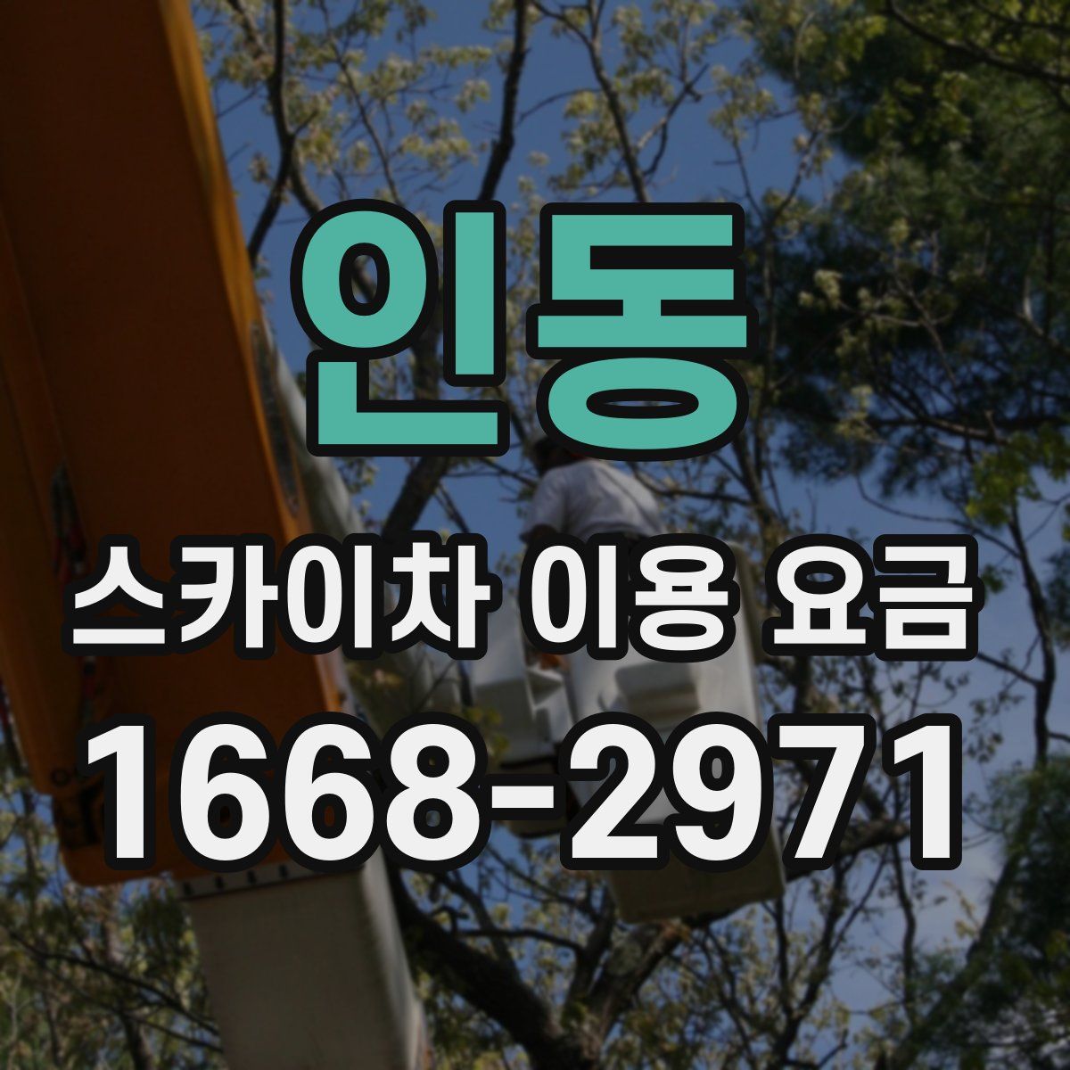 인동 스카이차 이용 요금