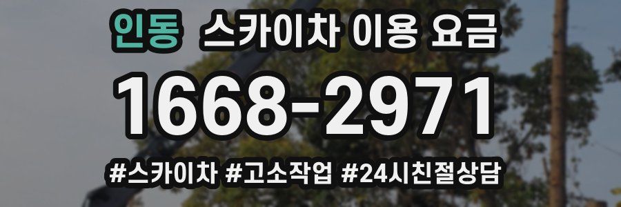 인동 스카이차 이용 요금