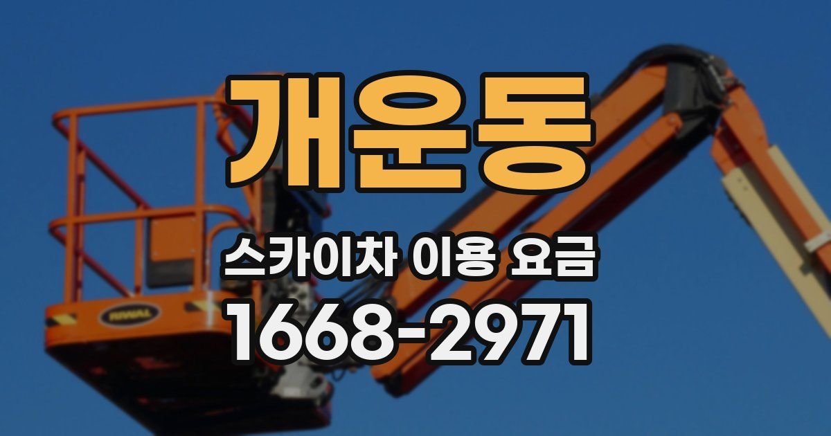 개운동 스카이차 이용 요금