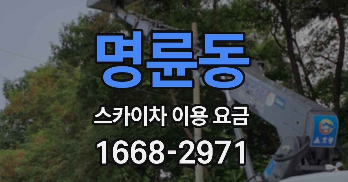 명륜동 스카이차 이용 요금