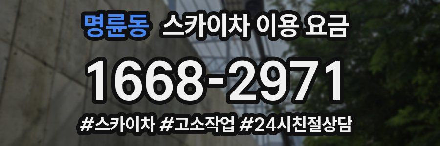 명륜동 스카이차 이용 요금