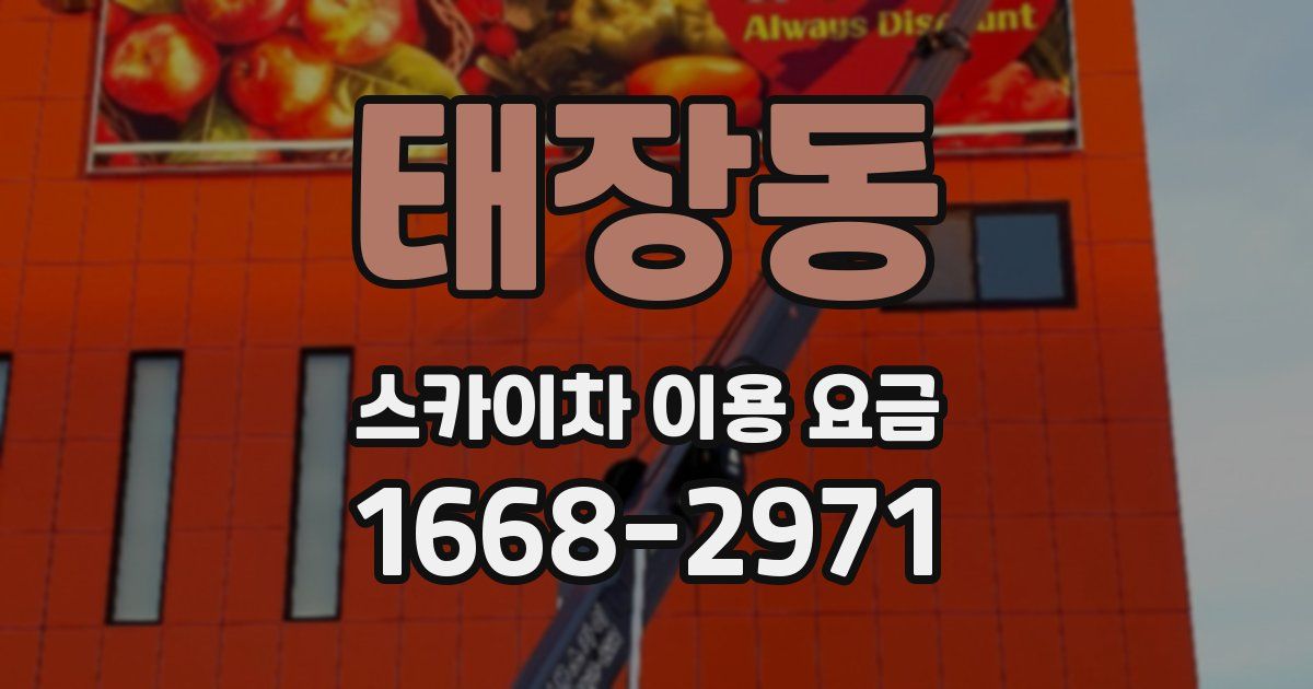 태장동 스카이차 이용 요금